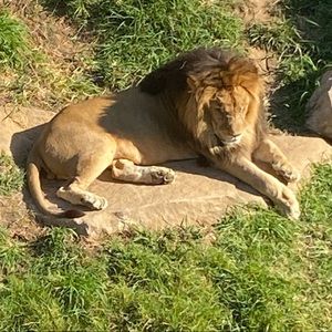 Meet your Posher, Claudia